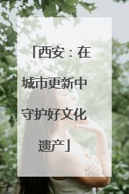西安：在城市更新中守护好文化遗产